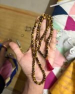 Tiger eye panchamukhi rudhraksha Mala - Image 2
