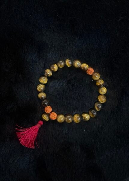 Tiger eye Tri Rudhraksh